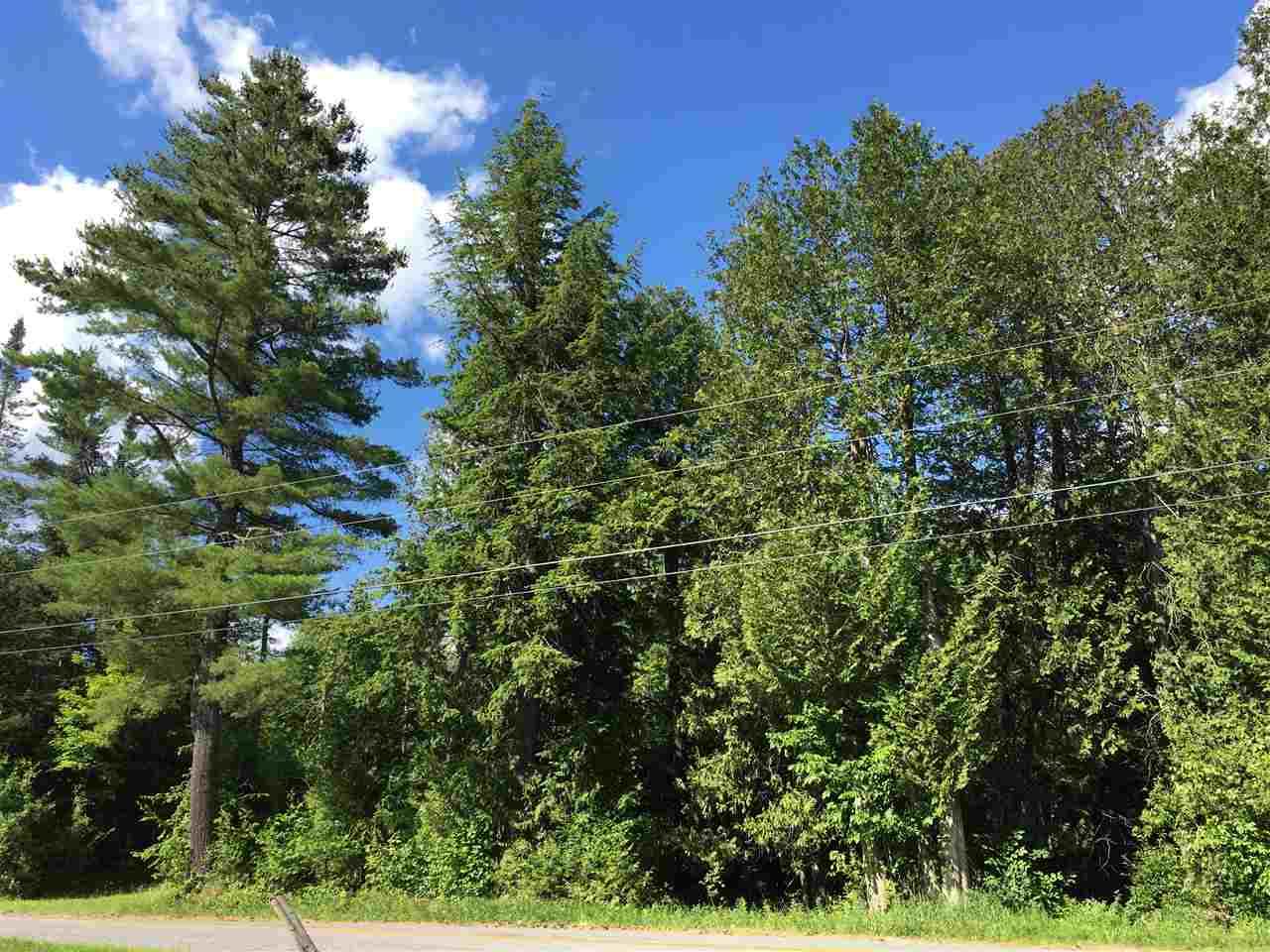 1201 East Peacham Road - Photo 1