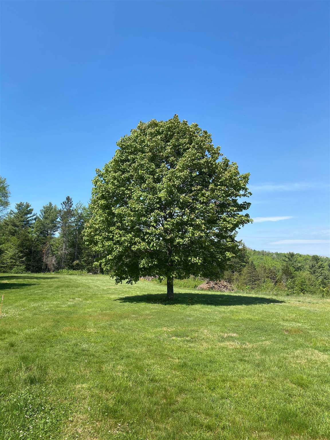 655 Kinsey Road - Photo 1