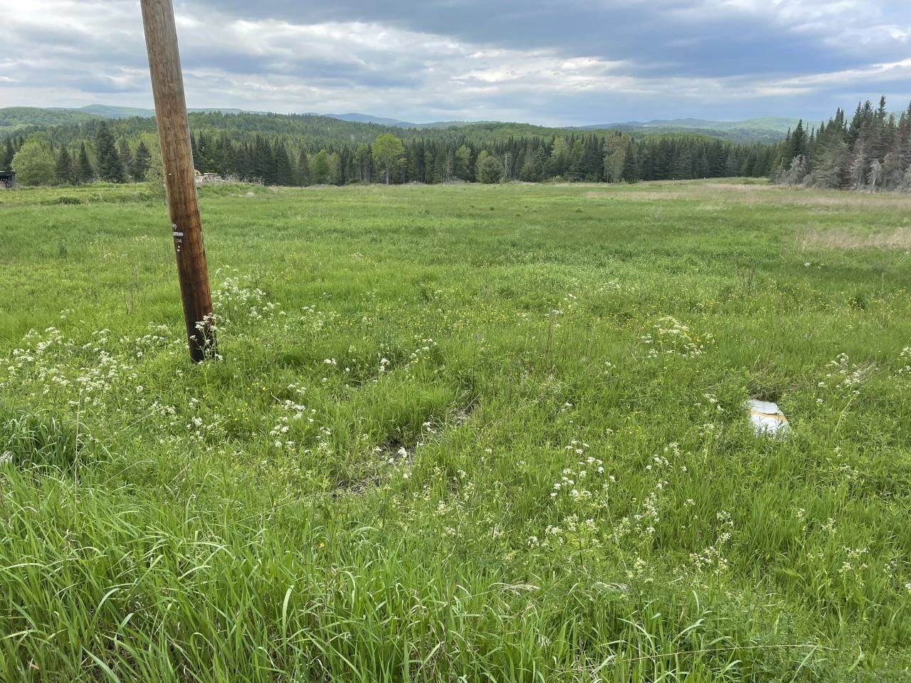 Parker Road - Photo 1