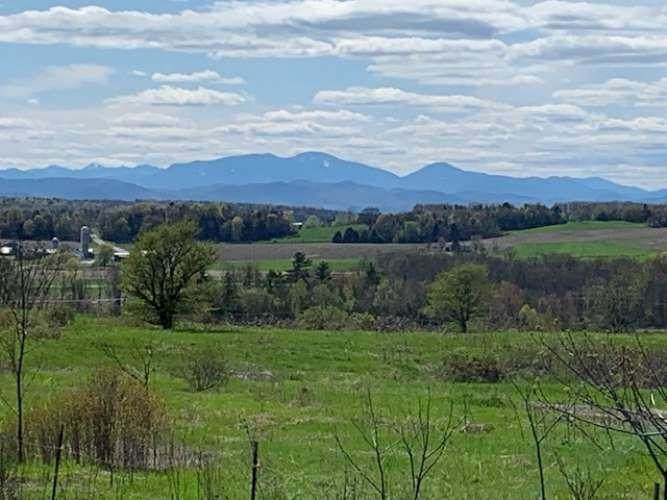 297 King Farm Road - Photo 1