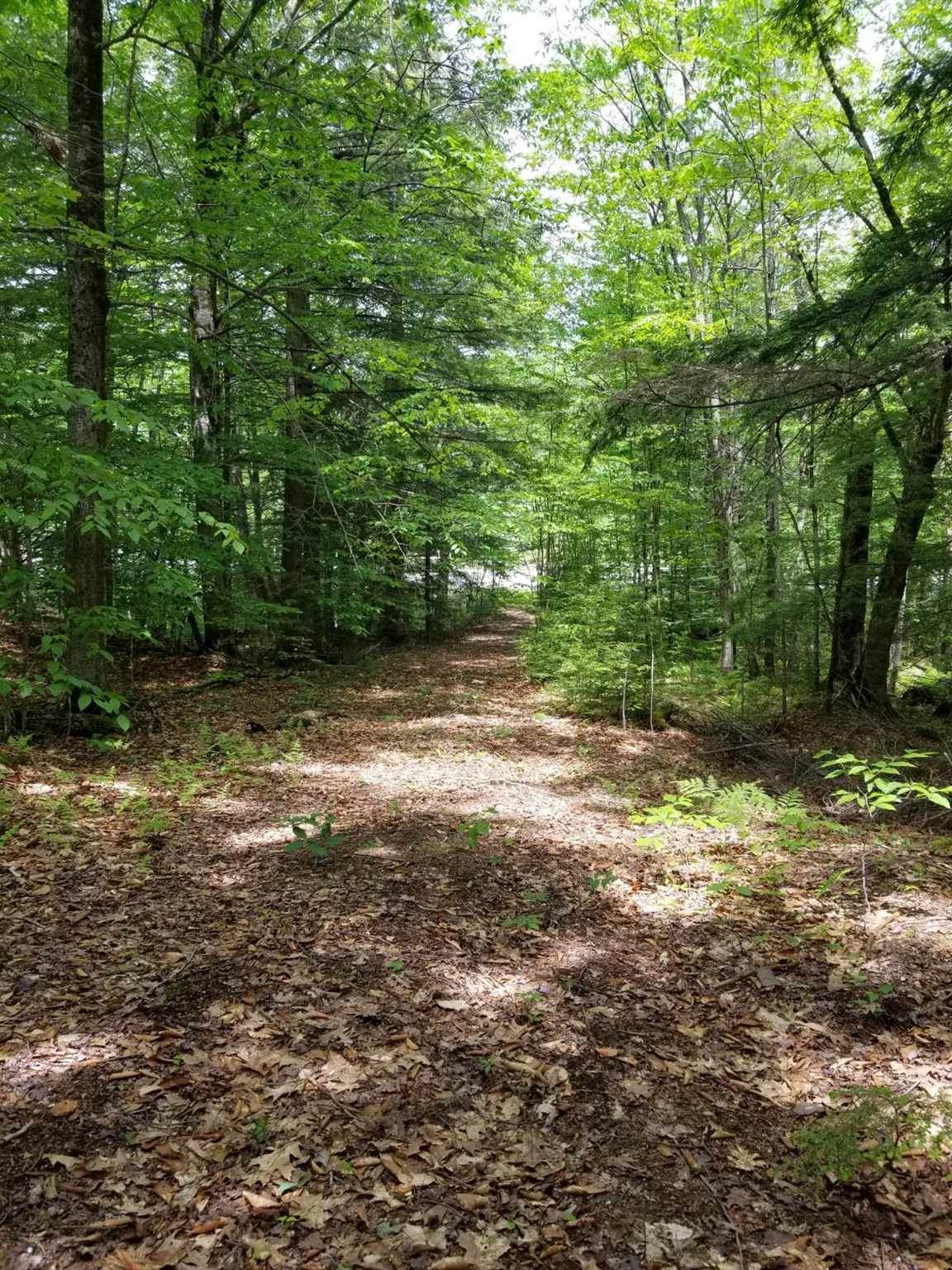 000 Keene Road - Photo 1