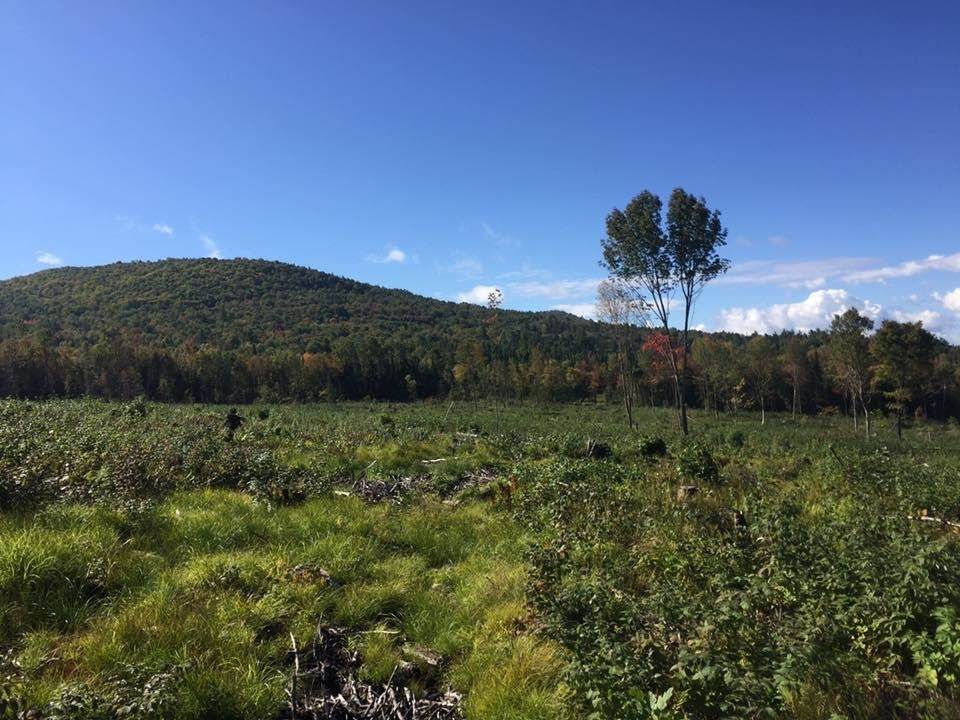 Long Hill Road - Photo 1