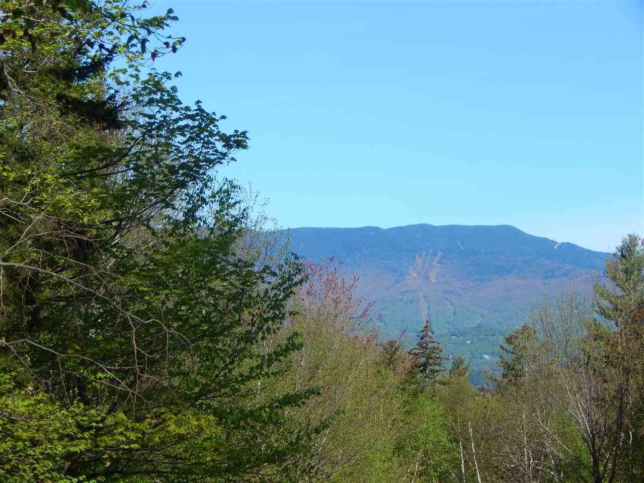 598 Mad Meadows Road - Photo 1