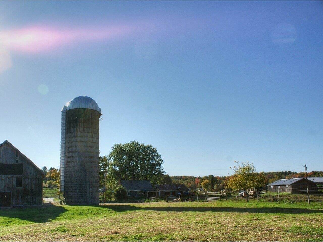877 Wheeler Road - Photo 1