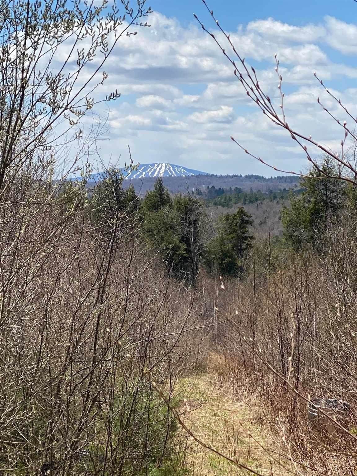 00 Route 100 - Photo 1