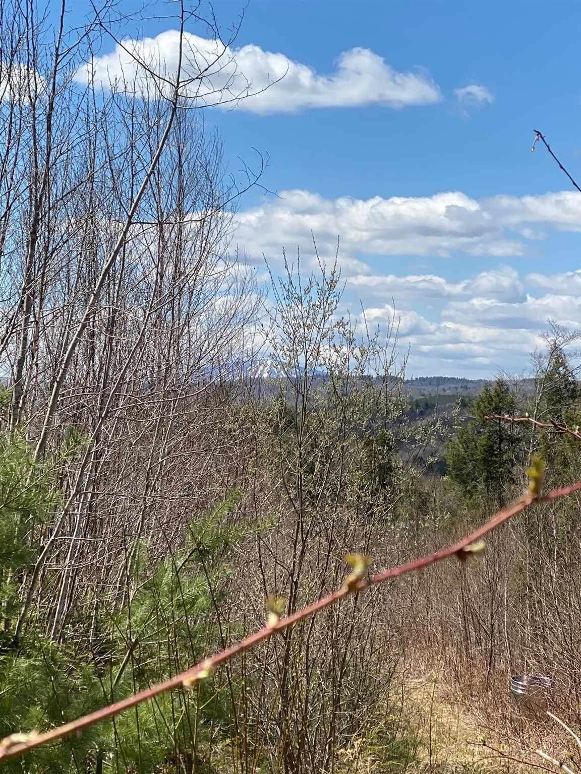 00 Route 100 - Photo 1