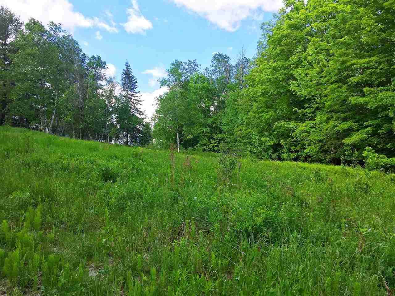 00 Mountain Road - Photo 1