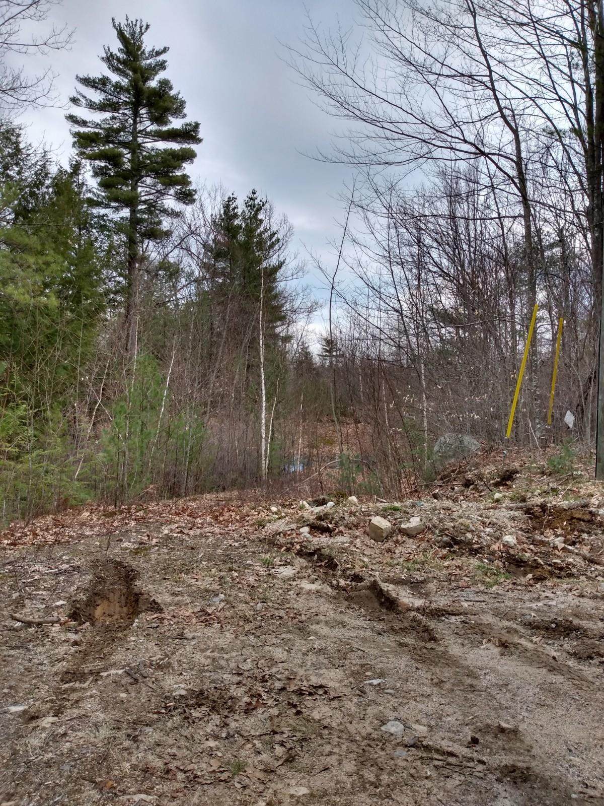 Lot 2 Hall Terrace - Photo 1