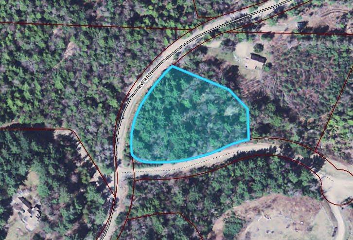 Lot #1 River Road - Photo 1