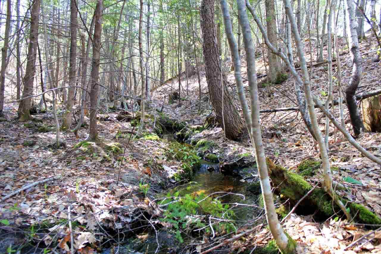0 Mountain View Road - Photo 1