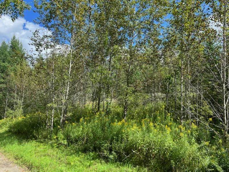 59 Roberts Drive - Photo 1