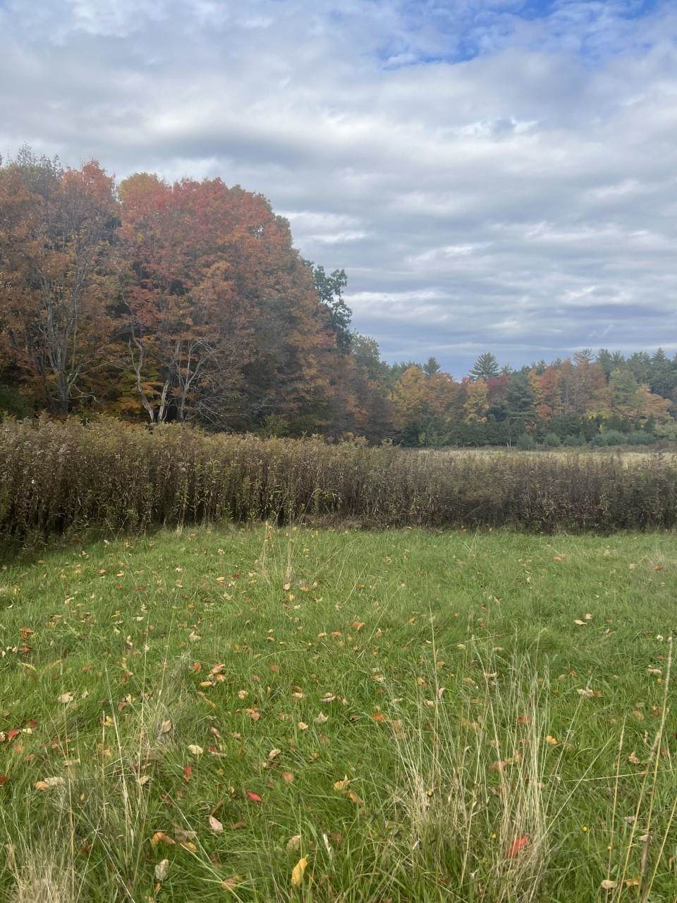 0 Moore Farm Road - Photo 1