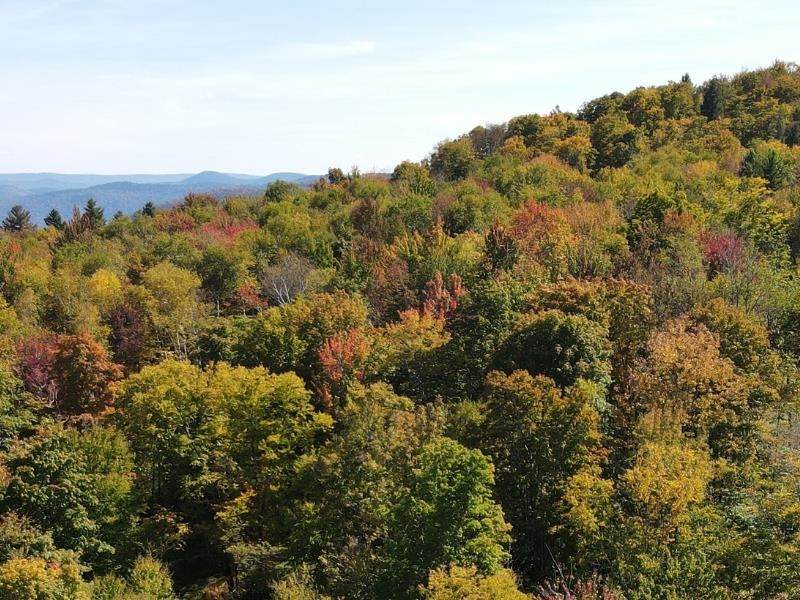  West Hill Road - Photo 1