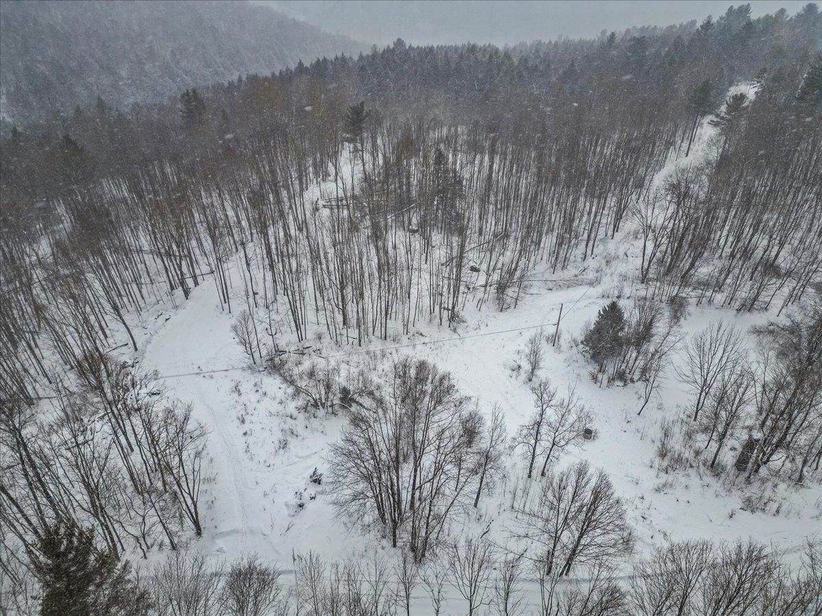 Lot 1 Mason Hill North - Photo 1