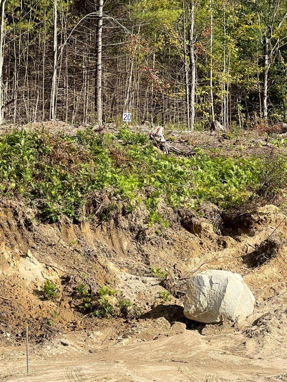 20 Hawthorne Road - Photo 1