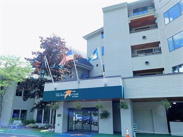 90 Loon Mountain Road - Photo 1