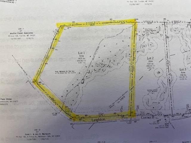 Lot 2 Leighton Corners Road - Photo 1