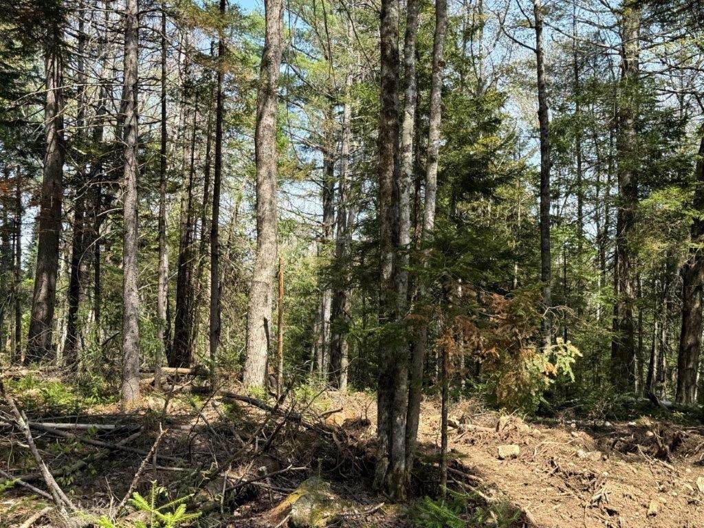 Lot 3 Nh Route 4A - Photo 1