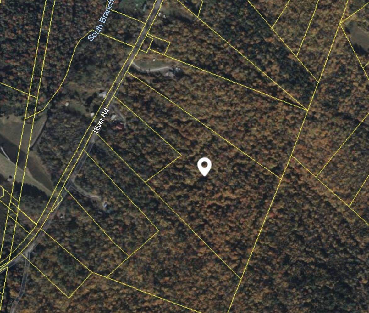 00 River Road - Photo 1
