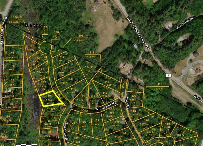 Lot 101 Wildwood Road - Photo 1
