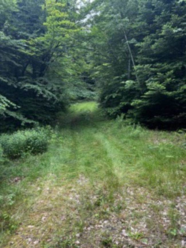 https://bt-photos.global.ssl.fastly.net/nneren/orig_boomver_1_5045318-2.jpg