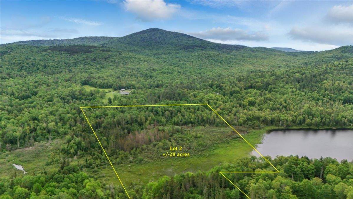 TBD Lot 2 Woodcock Road - Photo 1