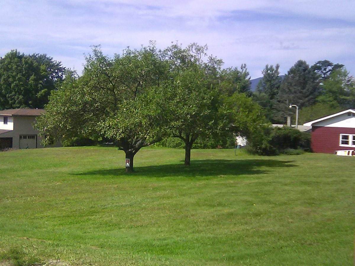 145 Langdell Road - Photo 1