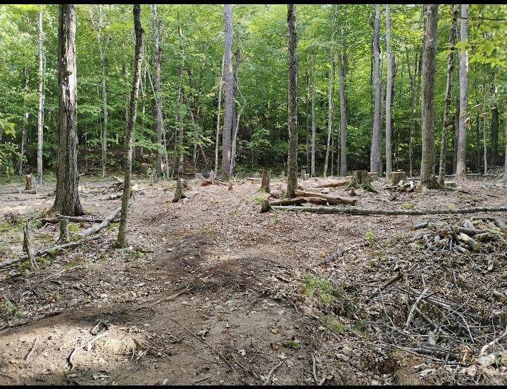 335 Coolidge Drive - Photo 1