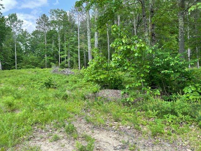 Lot 33 Blake Trail - Photo 1