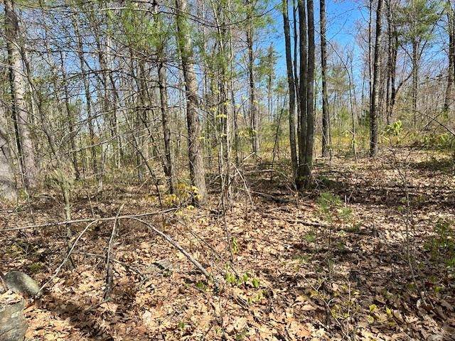 Lot 40B Quimby Road - Photo 1