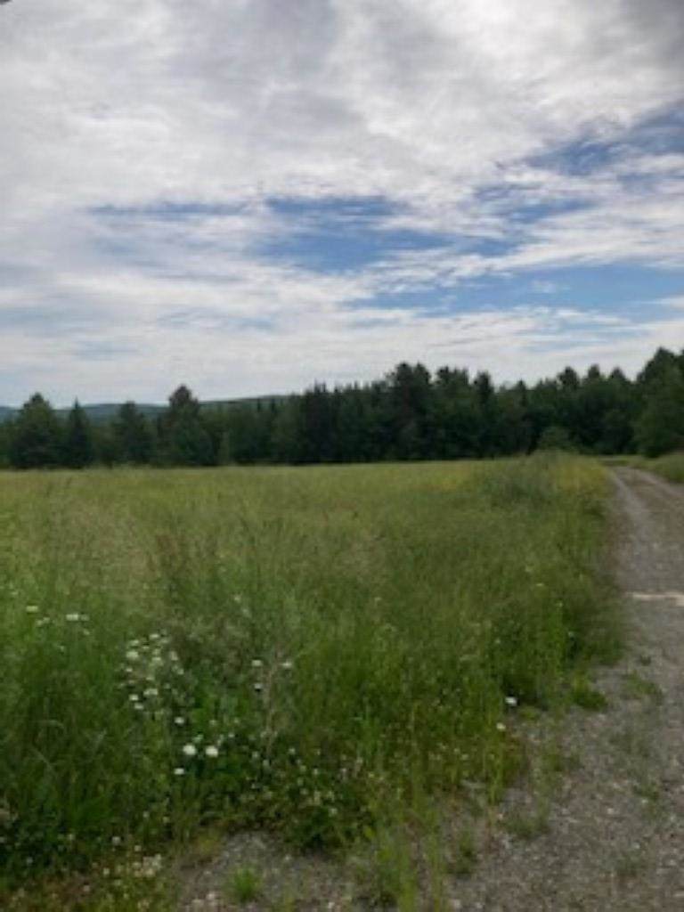 2890 Carter Road - Photo 1