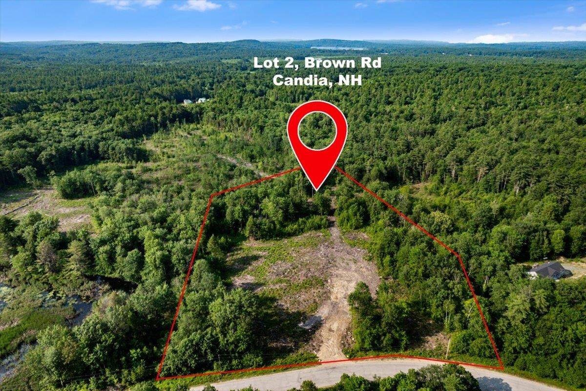 Lot 2 Brown Road - Photo 1