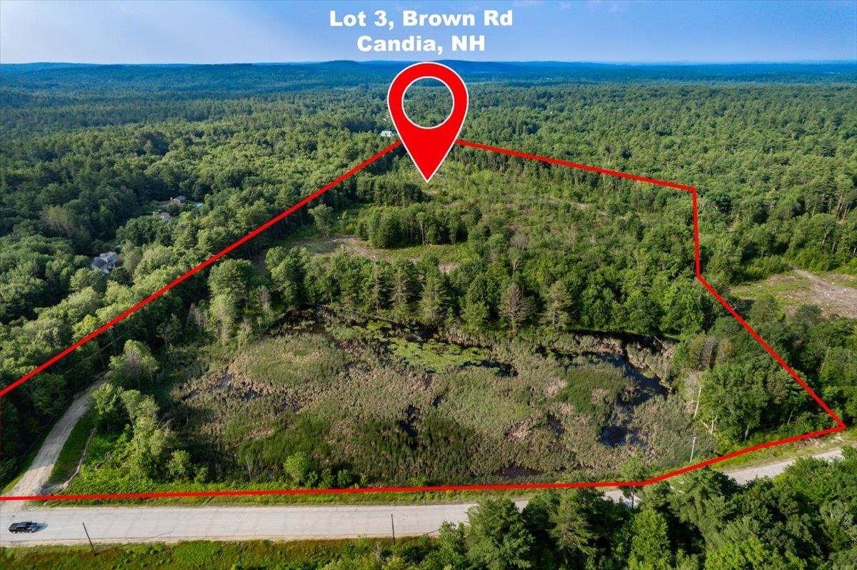 Lot 3 Brown Road - Photo 1