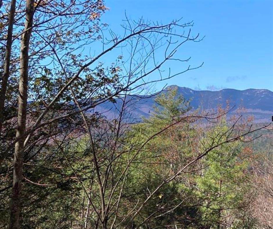 25 Aspen Drive - Photo 1