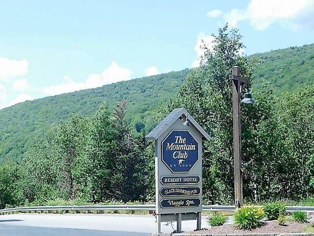 90 Loon Mountain Road - Photo 1