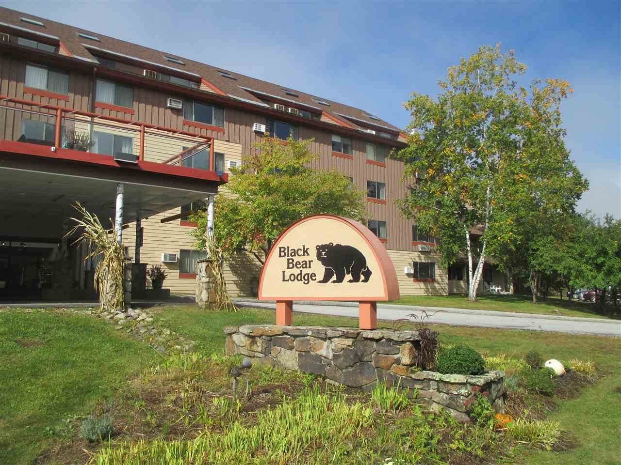 23 Black Bear Road - Photo 1