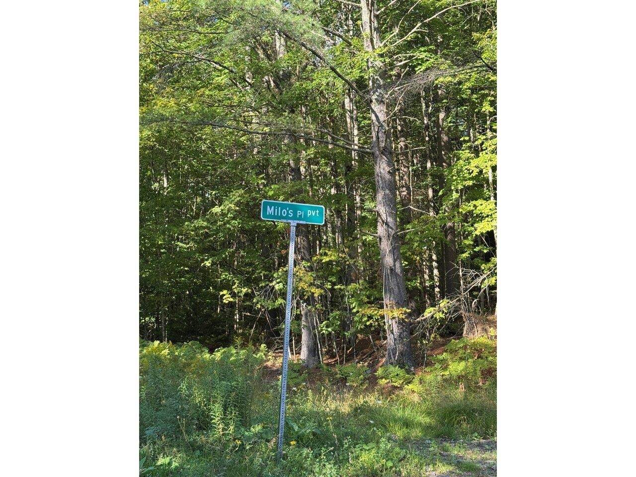 Lot 4 Milo's Place - Photo 1