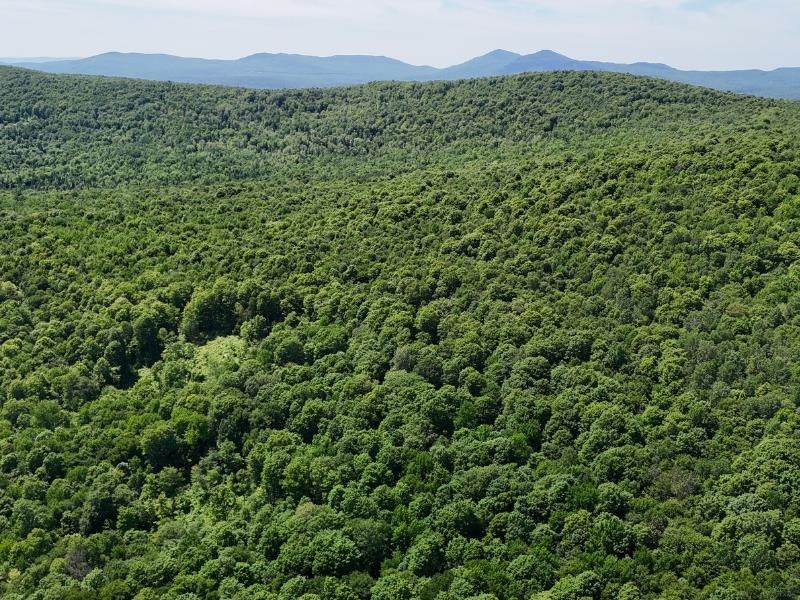 955 Hall Road - Photo 1