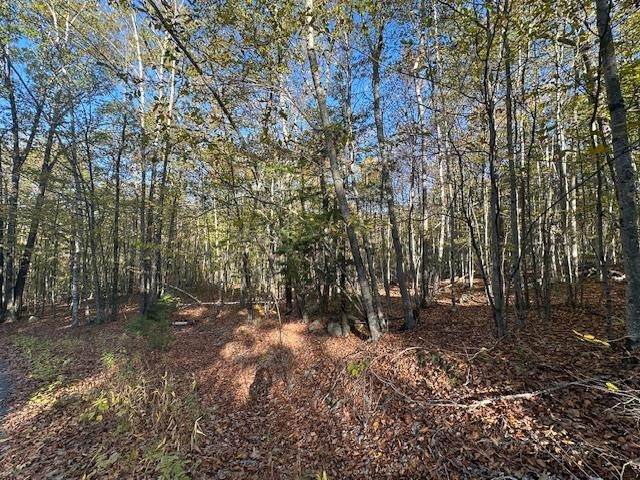 0 Old Walpole Road - Photo 1