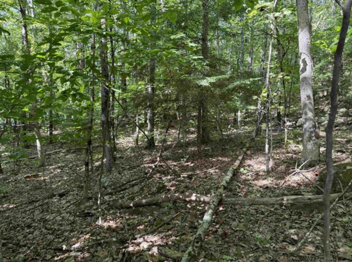 Map 10 Lots 154,155,156 New Hampshire Drive - Photo 1