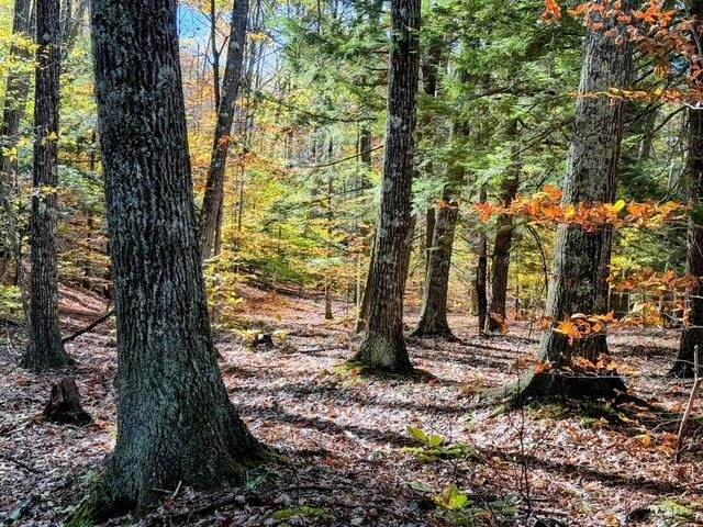 29&31 White Brook Road - Photo 1