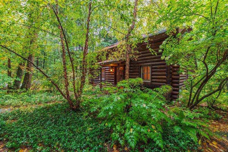 653 Roaring Branch Road - Photo 1