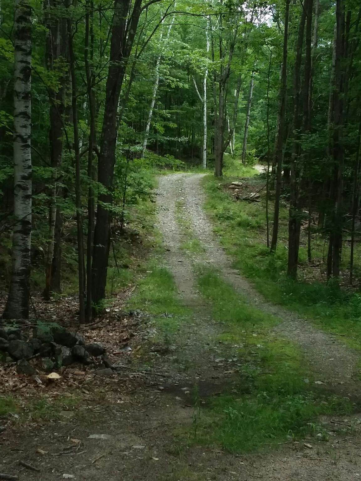 00 Old Wolfeboro Road - Photo 1