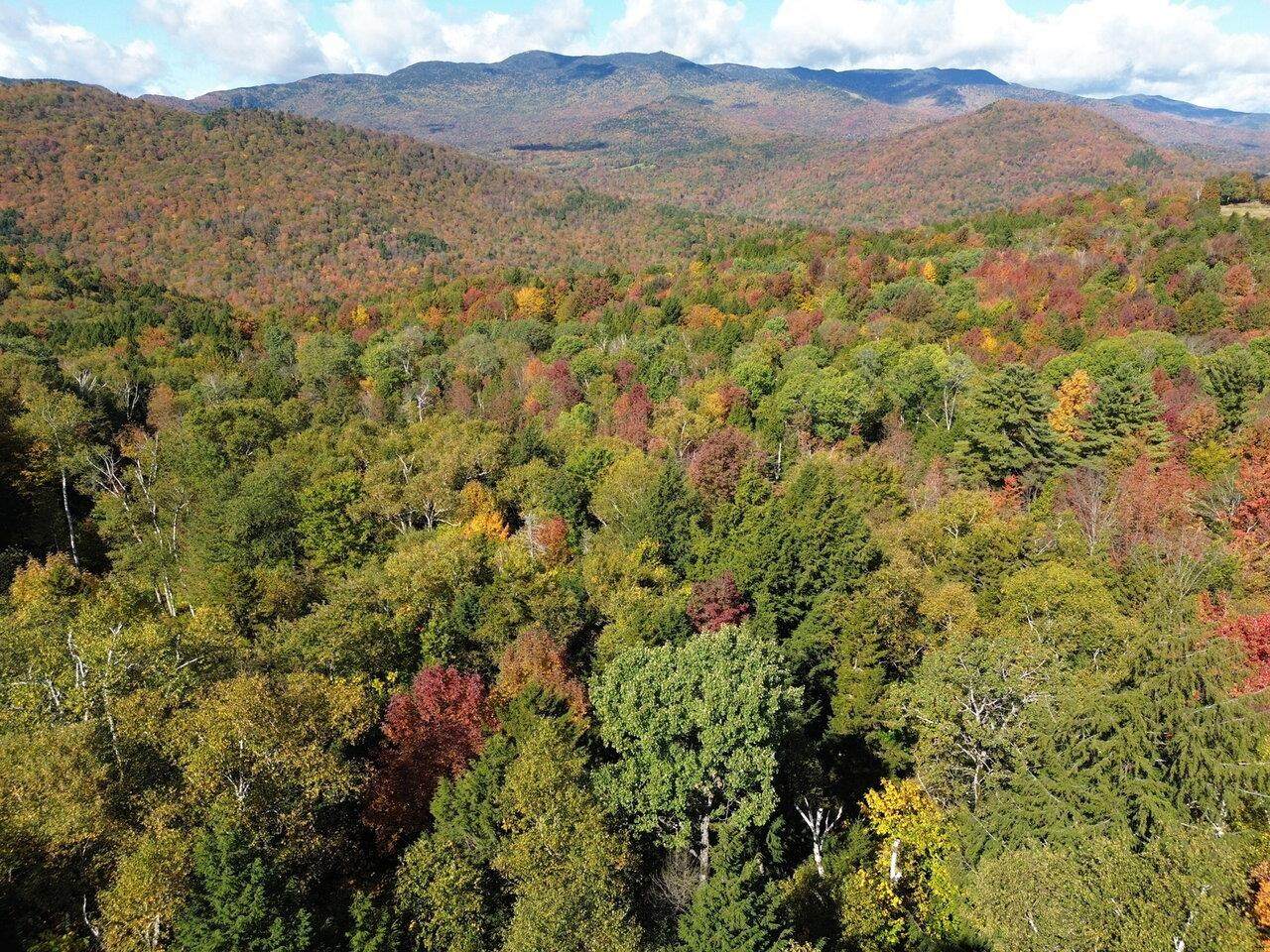 350 Anne Burns Road - Photo 1