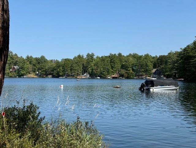 Lots 30+18 Thorn Hill Road - Photo 1