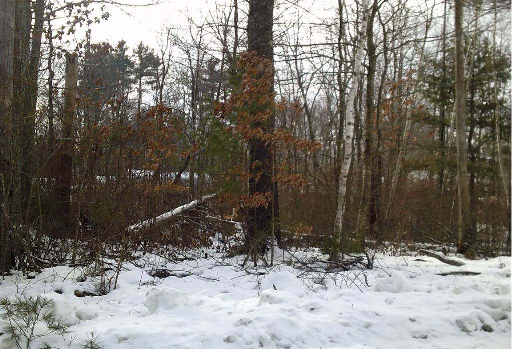 8 Mark Avenue - Photo 1