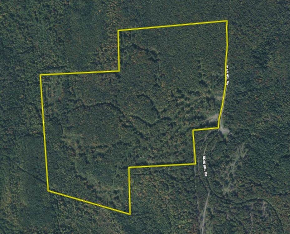 1070 Bear Hill Road - Photo 1