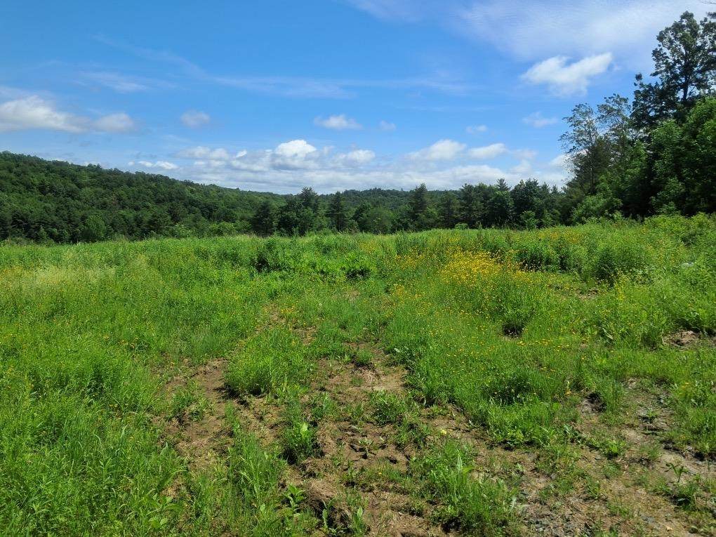 1567 Hollow Road - Photo 1