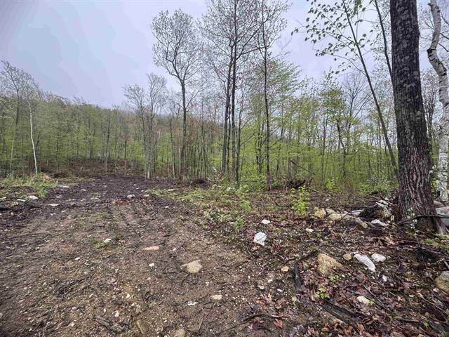 000 Upper Plains Road - Photo 1