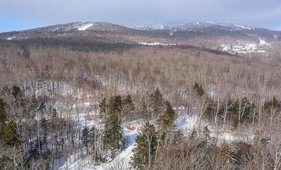 Lot 1 Timber Creek Road - Photo 1